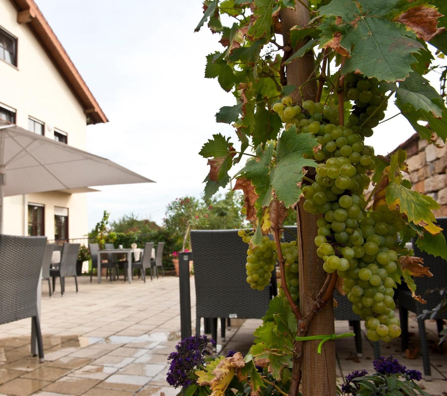 Weingut Sandwiese Winzerhotel Worms Extérieur photo